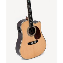 Sigma DTC-41E w. Softshell Case